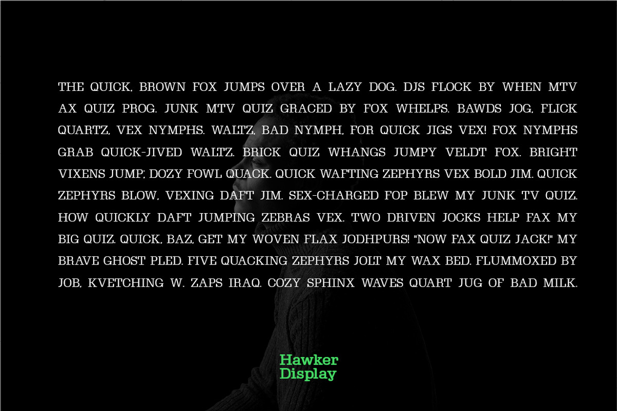Hawker Serif - Modern Typeface + Web, a Serif Font by Webhance Studio (Photo 6 of 6)