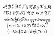 Floryfic Font, a Script Font by Digital Typeface Studio (Thumbnail 6 of 8)