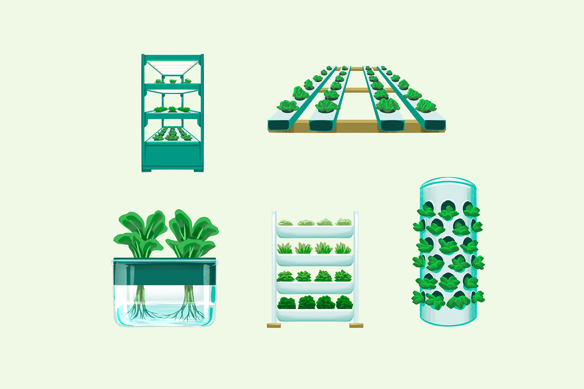 Hydroponic Farming Systems, an Object Graphic by Deemak Daksina (Photo 1 of 3)