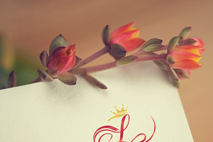 Stylized 'L' With a Crown Logo