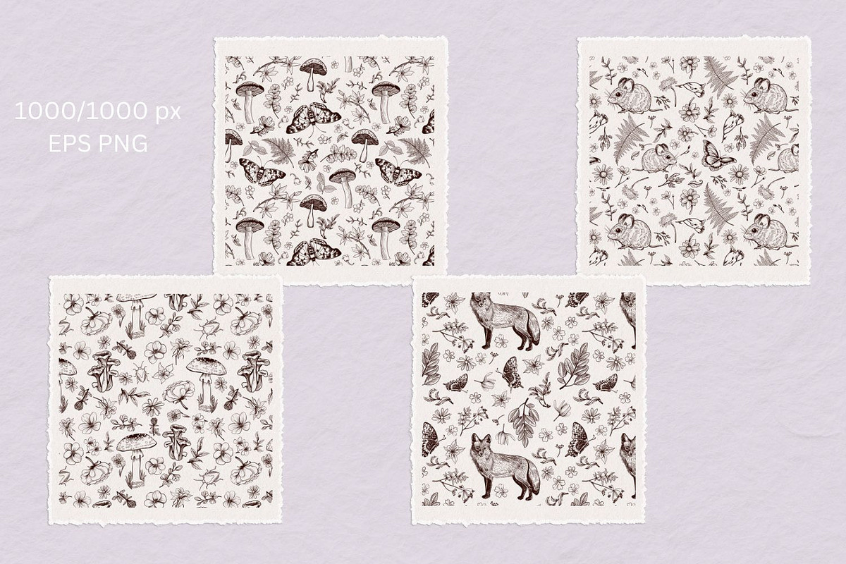 Forest Walk, an Animal Illustration by TatianaCociorva (Photo 6 of 6)