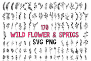 170 Wildflowers Line Art Botanicals, an Illustration by LifestyleCraftCo (Thumbnail 1 of 7)