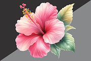 Tropical Clipart Watercolor, Tropica, an Illustration by Black Bird Studio (Thumbnail 6 of 6)