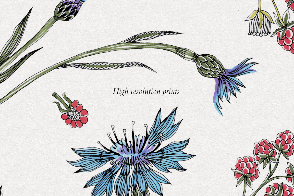 Cornflowers and Raspberries, a Texture Illustration by Volga_Store (Photo 3 of 12)