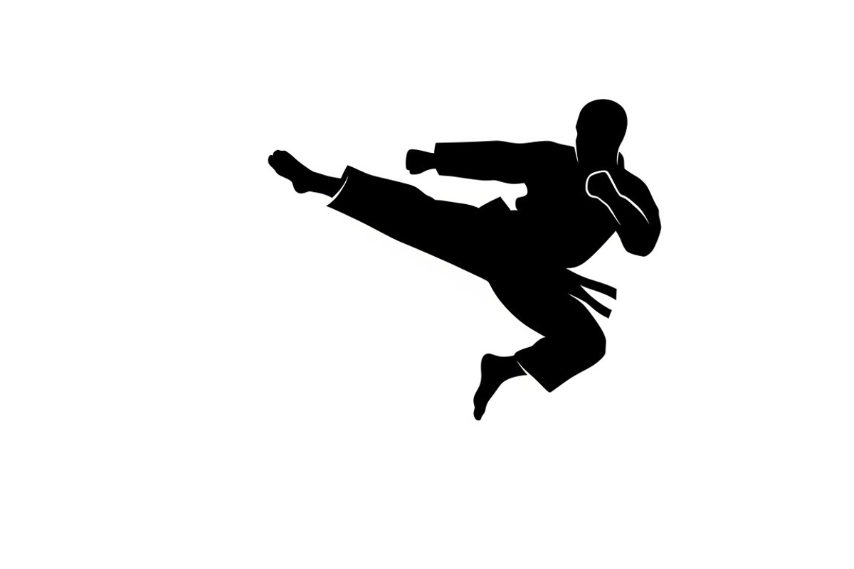 Dynamic martial arts kick silhouette, an Illustration by Amazin_art (Photo 13 of 36)
