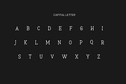 Marlowe Modern Mono Serif Typeface, a Serif Font by AN Productions (Thumbnail 3 of 6)