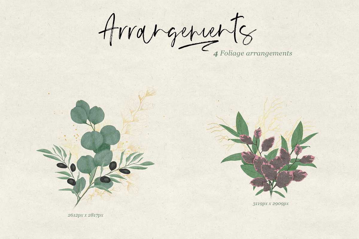 Ferns & Foliage Illustrations, an Illustration by Maggie Stilwell Design (Photo 6 of 10)