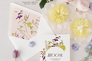 Wildflower spring watercolor florals, a Decorative Illustration by Grace Noboa Illustrations (Thumbnail 2 of 9)
