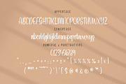 Syahara, a Script Font by Integritype Studio (Thumbnail 9 of 15)