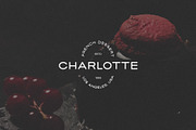 Woodland Hills Modern Display Font, a Sans Serif Font by Artcoast Std. (Thumbnail 7 of 13)
