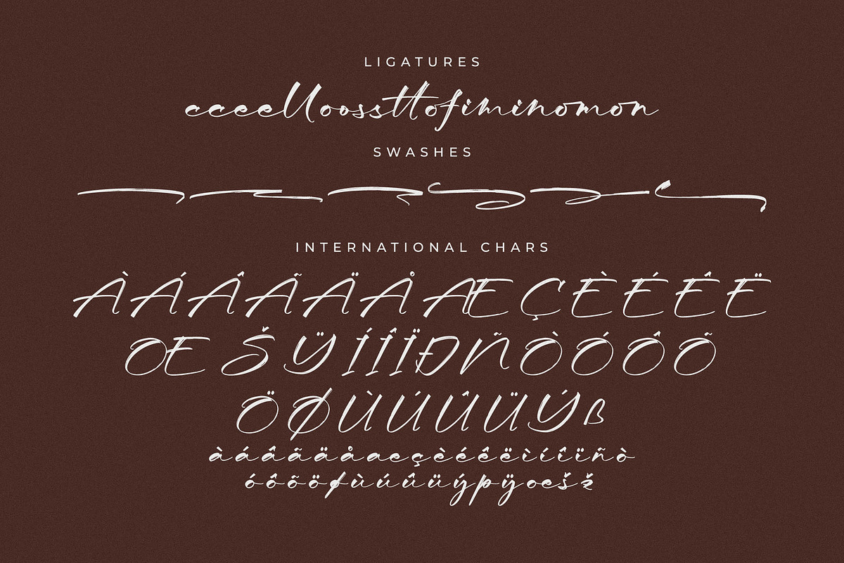 Seraphina Modern Font Duo, a Serif Font by Storytype Studio (Photo 14 of 15)