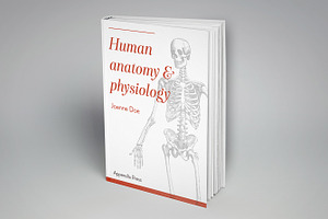 Anatomy Engravings Set