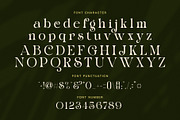 Dark Grind Elegant Swash Serif Font, a Serif Font by Elegant Font (Thumbnail 7 of 8)
