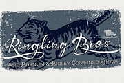 Bemol Type Family / 8 fonts, a Script Font by Andinistas Fonts (Thumbnail 4 of 5)