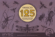 Vintage Insect Illustrations, an Illustration by BackYard Graphics Co. (Thumbnail 1 of 10)