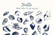 Seashells vector illustrations frame, an Object Graphic by Yuliya Derbisheva (Thumbnail 4 of 13)