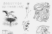 Beauty of Withering: Line Art set, a Decorative Illustration by divanovskaya_nv (Thumbnail 5 of 12)