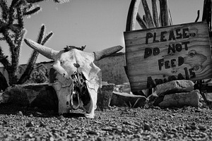Do not feed animals