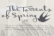 Ernest, a Script Font by Posterizer KG (Thumbnail 4 of 6)