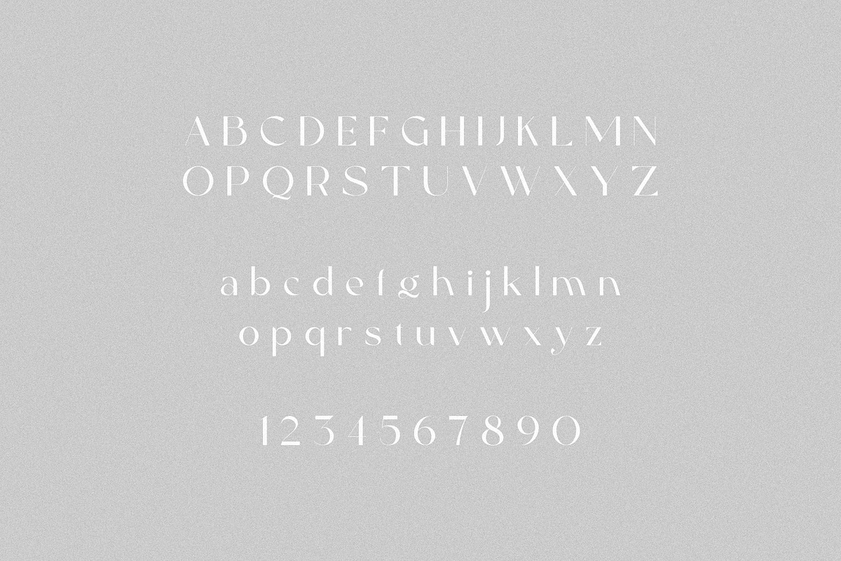 Sienne - Elegant Display Sans Serif, a Sans Serif Font by spectertype (Photo 7 of 8)