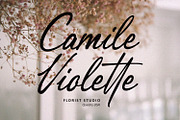 Peftyon Elegant Signature Script, a Script Font by Maulana Creative (Thumbnail 6 of 7)