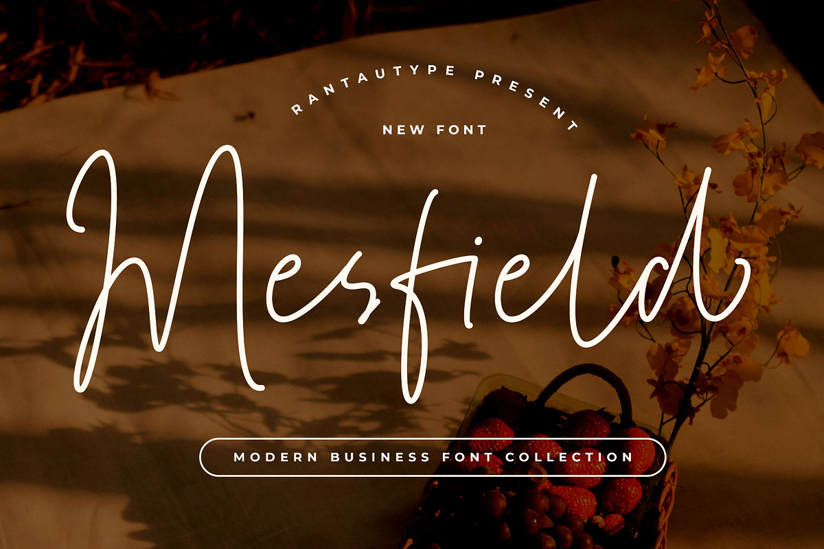 Mesfield Handwritten Font, a Handwritten Font by RantautypeStudio (Photo 1 of 13)