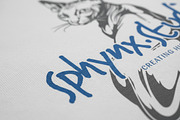 Sphynx Cat Illustration Pack, an Animal Illustration by Tekuni (Thumbnail 5 of 14)