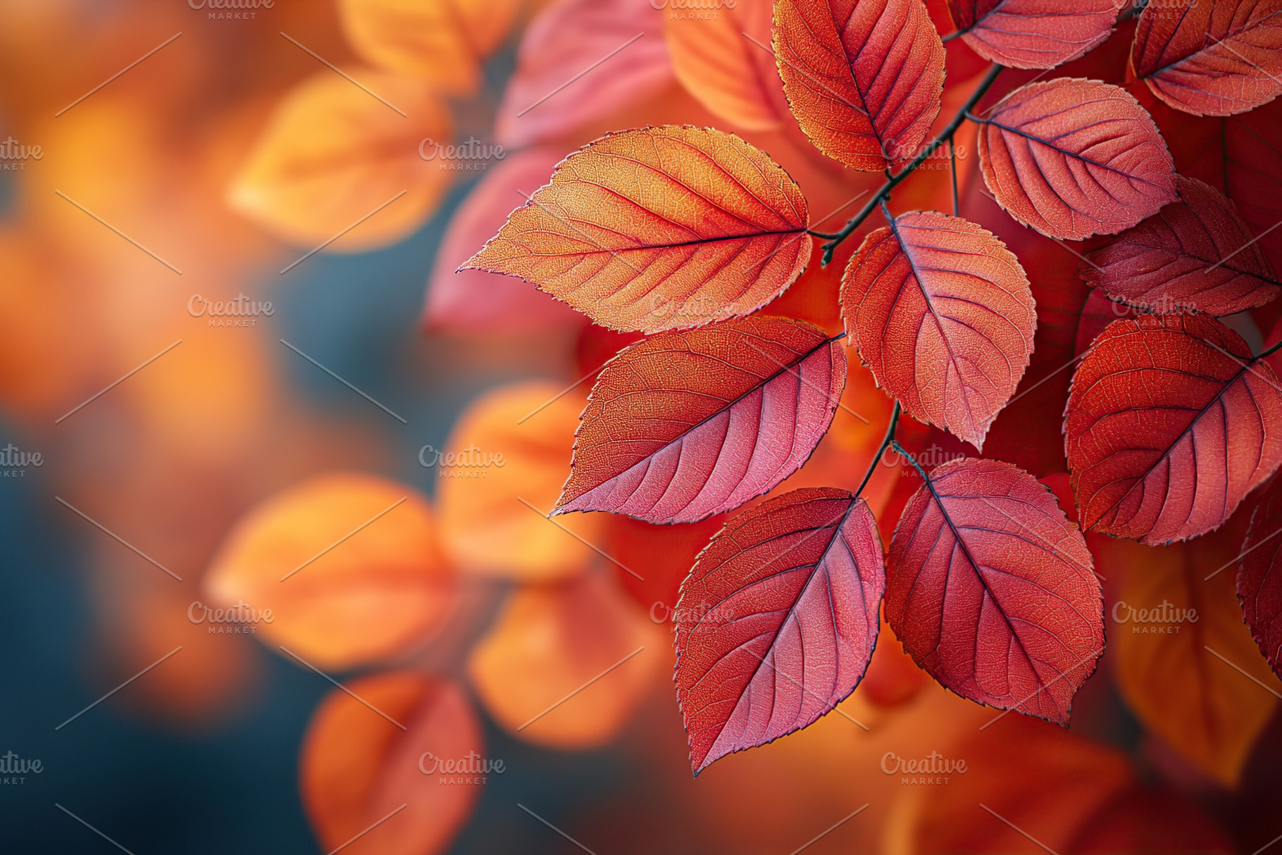 Vibrant autumn leaves showcase shades of red and orange in a tranquil forest se, a Nature Photo by AlyaAnd