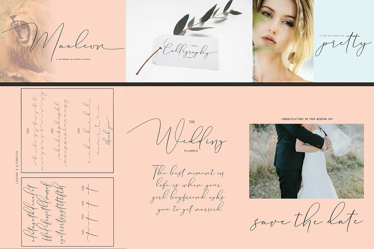 THE COLLECTION BUNDLE, a Script Font by danti (Photo 10 of 31)