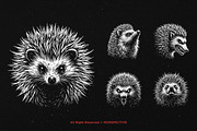 10 Bundle Dark Art Hedgehog thorns, an Illustration by Morspective (Thumbnail 3 of 7)