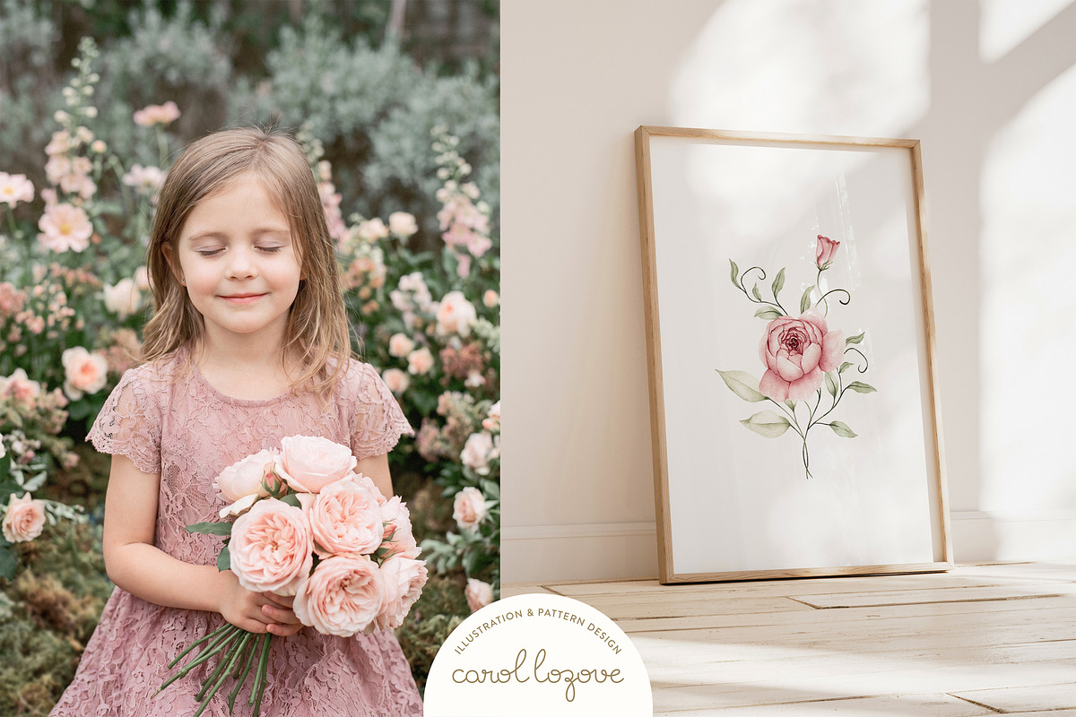 Watercolor Blush Roses Floral Set, a Decorative Illustration by Carol Lozove (Photo 2 of 50)