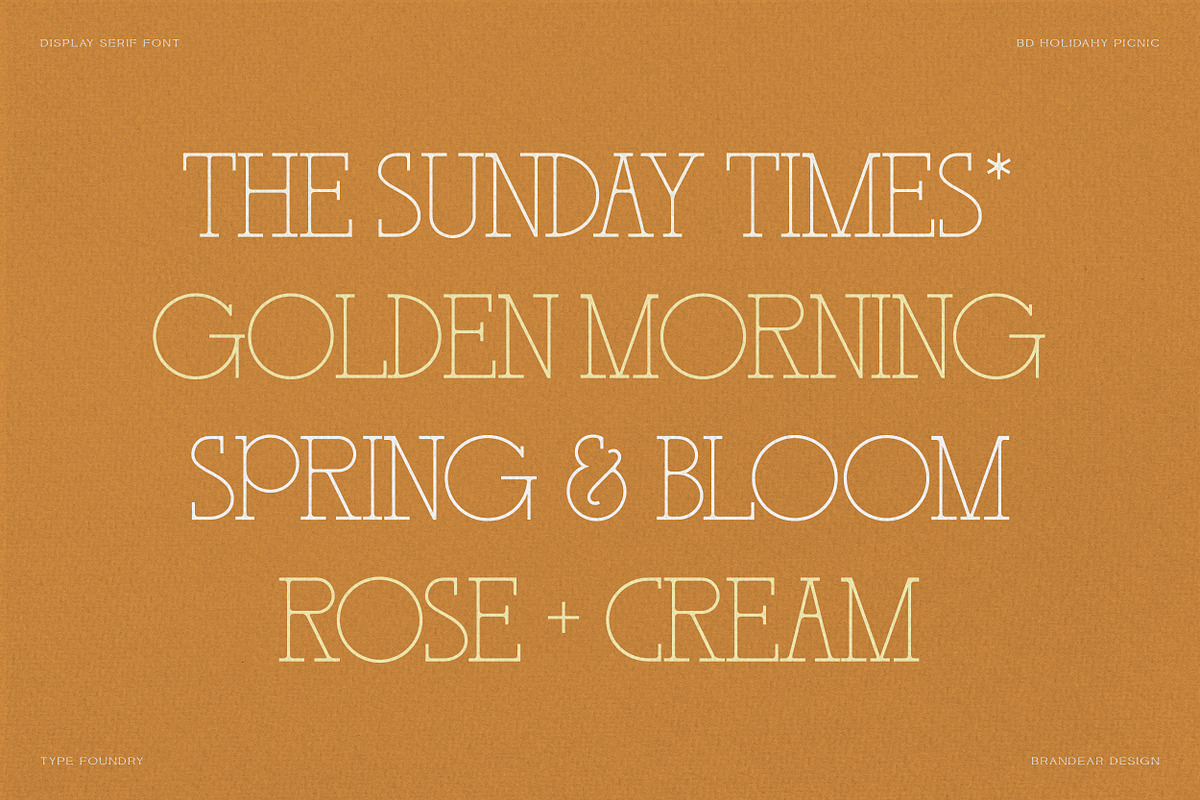 BD Holiday & Picnic, a Slab Serif Font by Brandear Design (Photo 3 of 16)