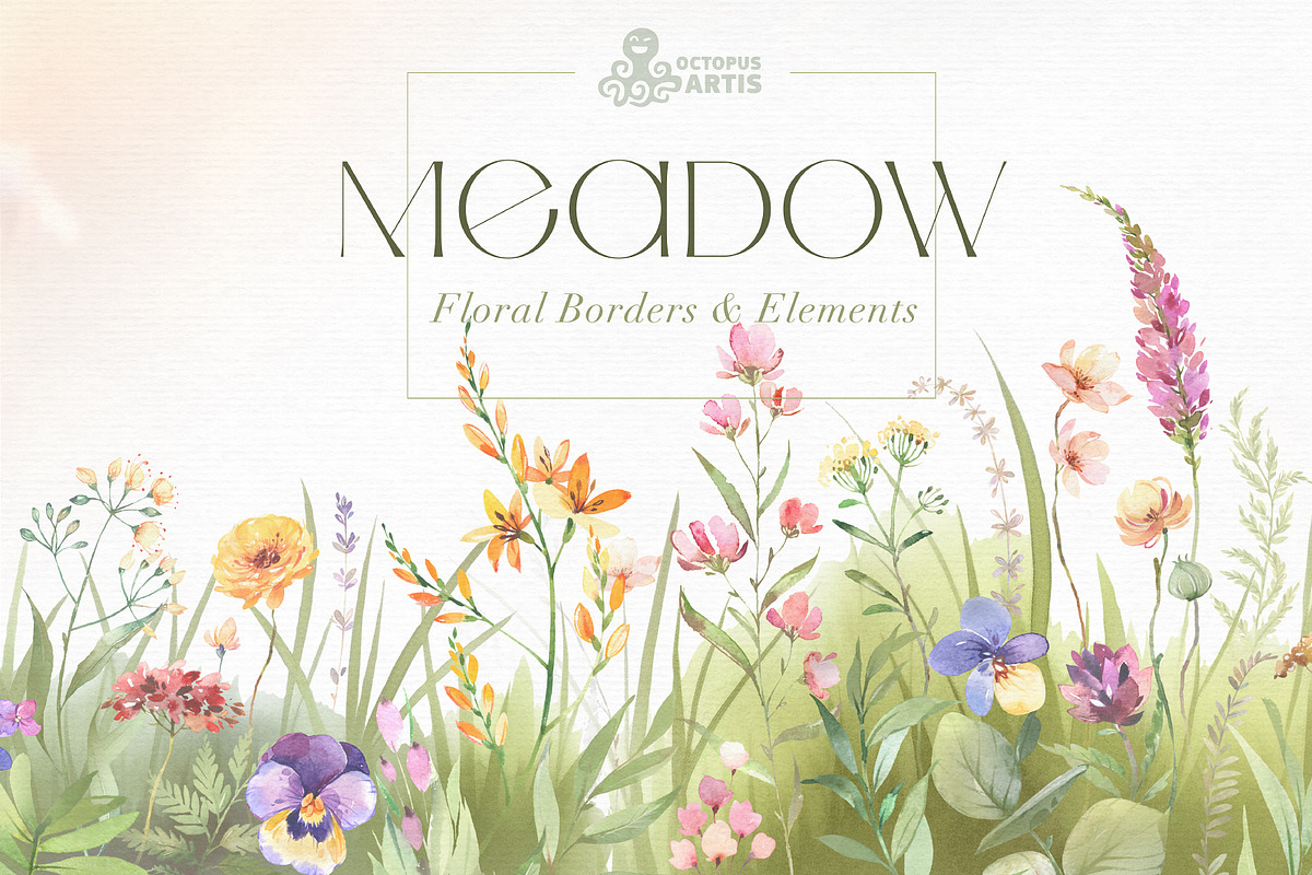 Meadow. Floral Borders & Elements, a Decorative Illustration by OctopusArtis (Photo 1 of 8)