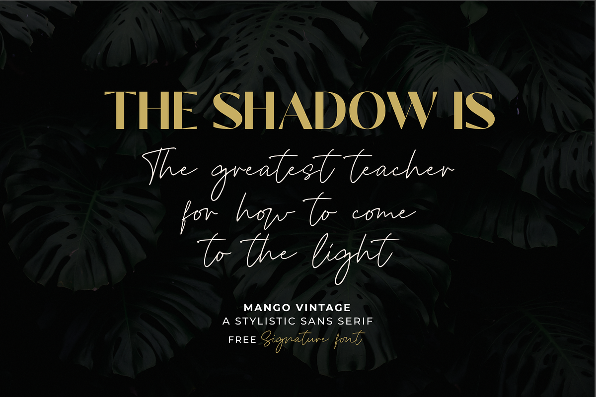 Mango Vintage Free Signature Font, a Sans Serif Font by zeenesia (Photo 4 of 16)