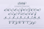 Distory Script, a Script Font by Letter Fresh (Thumbnail 9 of 10)
