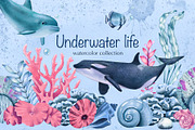 Watercolor Underwater Life Clipart, an Object Illustration by DiashaArt (Thumbnail 1 of 9)