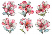 Spring Alstroemeria Flowers Clipart, an Illustration by Daily.Designs (Thumbnail 6 of 8)