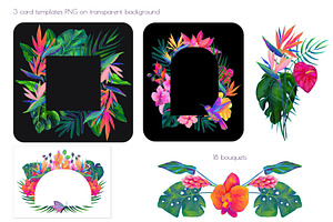 Birds Of Paradise Graphics/patterns