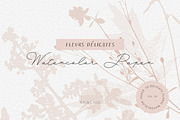 BUNDLE Floral watercolor paper, a Texture Illustration by Anna Sokol (Thumbnail 70 of 71)