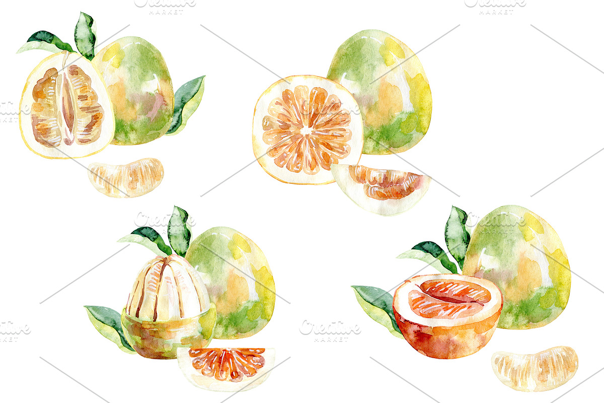 Watercolor tropical fruits., an Illustration by TaPilipa (Photo 34 of 39)