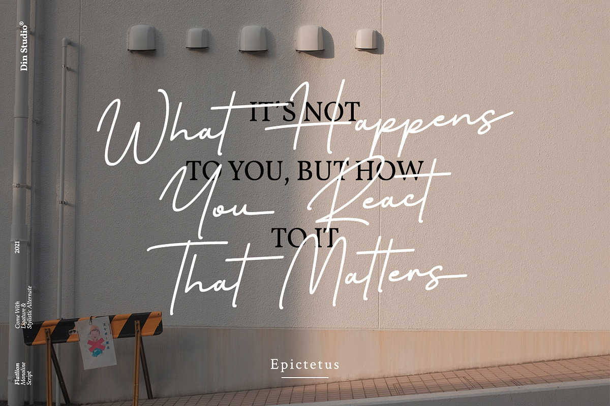 Flatlion Monoline Script Font, a Script Font by din-studio.com (Photo 10 of 10)