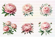 Watercolor Blush Peonies Flowers, an Illustration by CreationArt (Thumbnail 5 of 7)