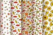 Hello Autumn Collection, a Decorative Illustration by VioSilent (Thumbnail 9 of 10)