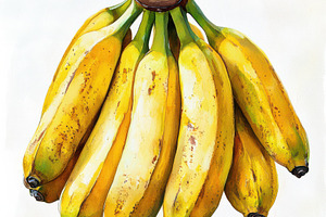 Bunch of bananas fruits isolated on, a Food & Drink Photo by Pixeness Studio