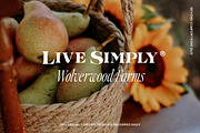 Beyond Comfort - Classy Font Duo, a Serif Font by Tom Chalky (Thumbnail 8 of 13)