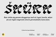 CS Rolins Pixel, a Blackletter Font by Craft Supply Co. (Thumbnail 4 of 8)