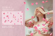 Multicolored Rose Petals Overlays, a Texture Graphic by Kaleriia (Thumbnail 4 of 16)