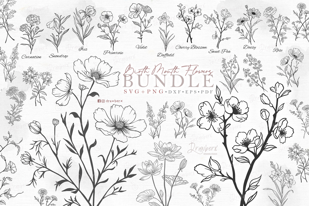 Birth Month flowers Svg, bundle 125, a Graphic by Drawberx (Photo 1 of 10)