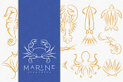 Marine Creatures, an Animal Illustration by Anna (Thumbnail 1 of 6)