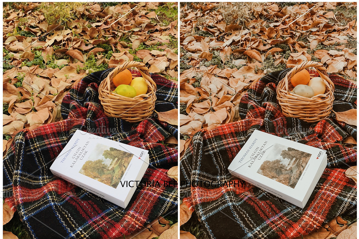 30  MOODY AUTUMN PRESETS, a Preset Add-On by Victoria Bee Presets (Photo 7 of 14)